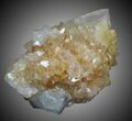 Orange Cactus Quartz Crystal - South Africa #33919-1